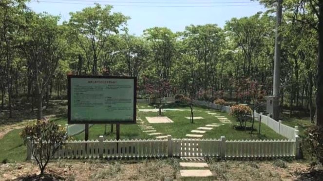 上海崇明農污項目